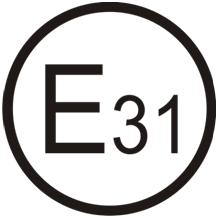 Homologacijska oznaka E31